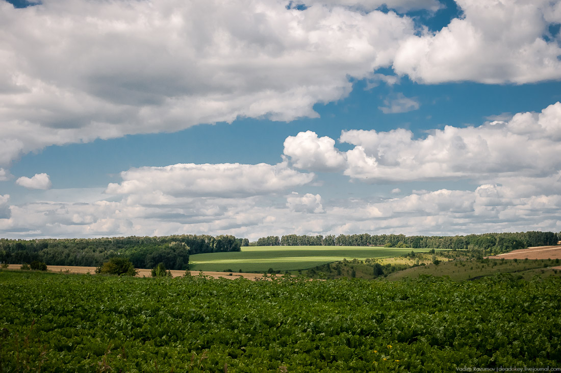 усадьба Кропотово-Лермонтово