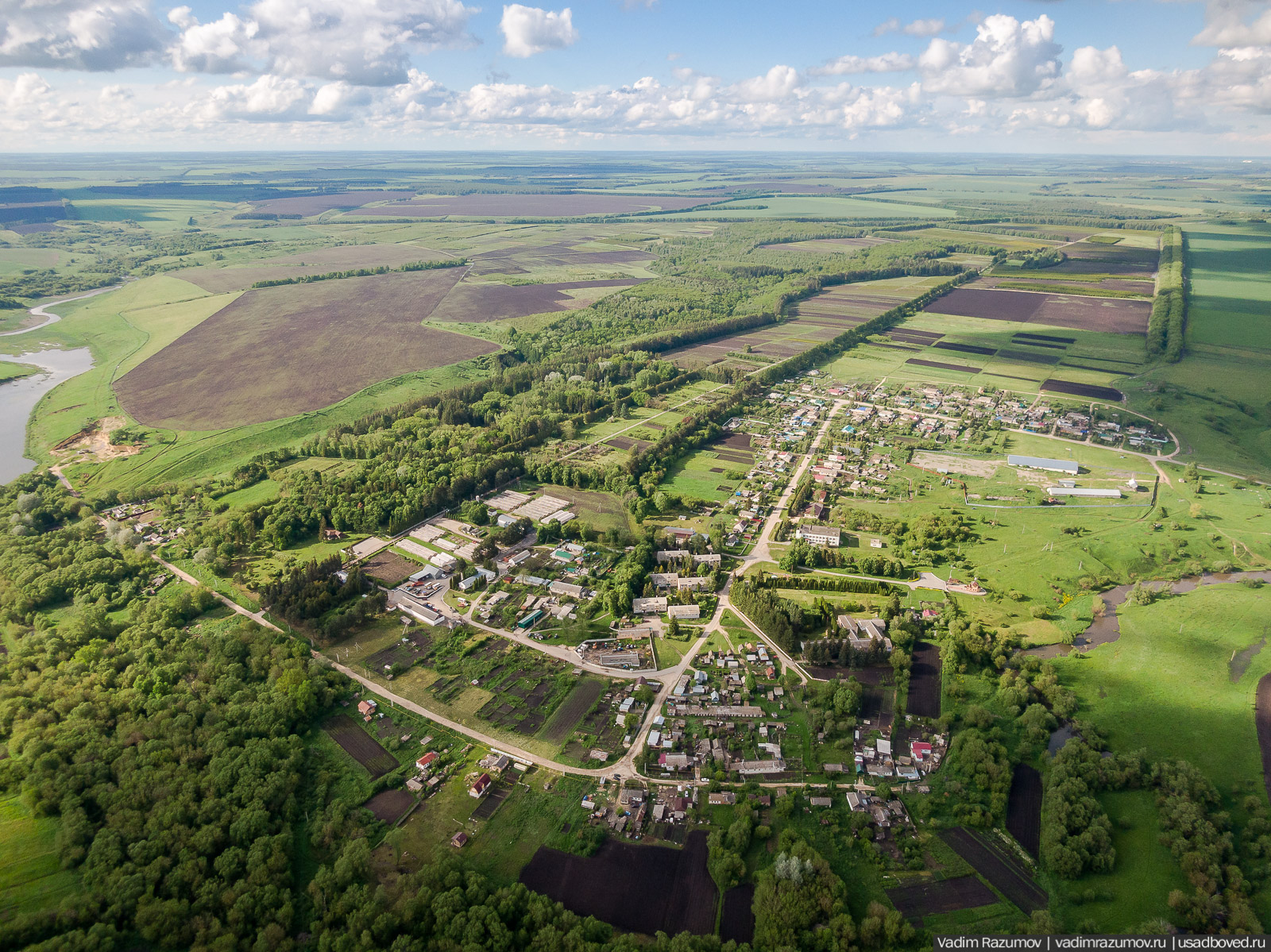 Мещерский дендрарий, ЛОСС, усадьба Барсуково, цветение сирени, Липецкая области