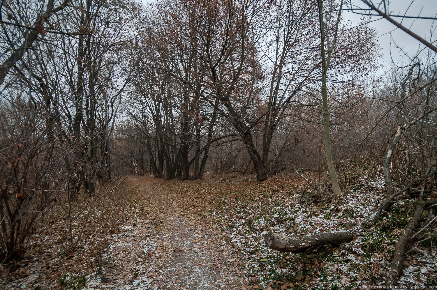усадьба Бобрики Бобринских, Донской, Тульская область, музей