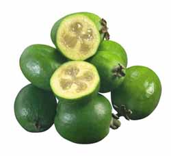 feijoa3 (250x228, 26Kb)