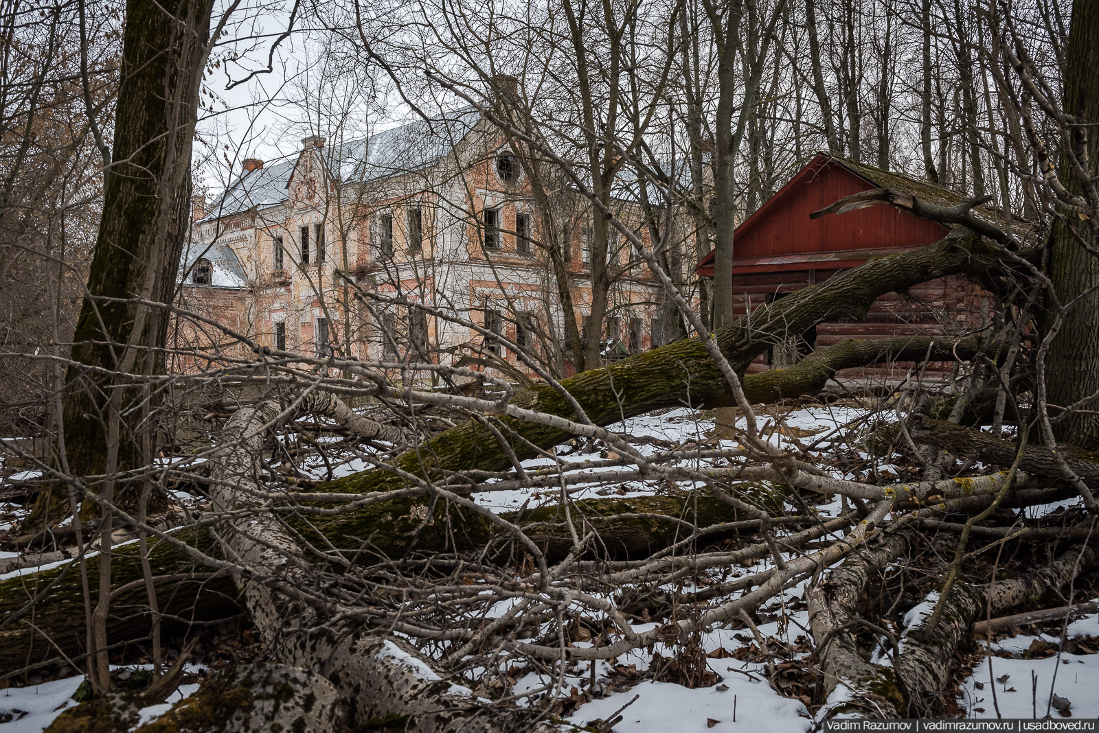 усадьба Хрусловка, Тульская область, Веневский район, зима 2020 год