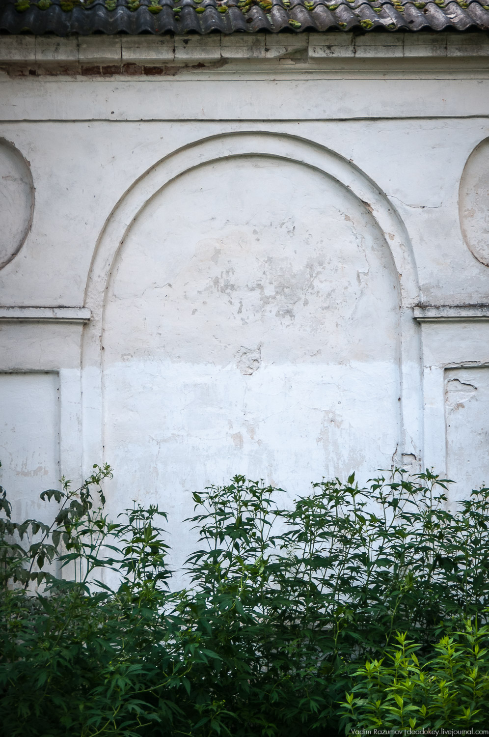 усадьба Старое Зимино, Рязанская область, волонтерский субботник, интервью