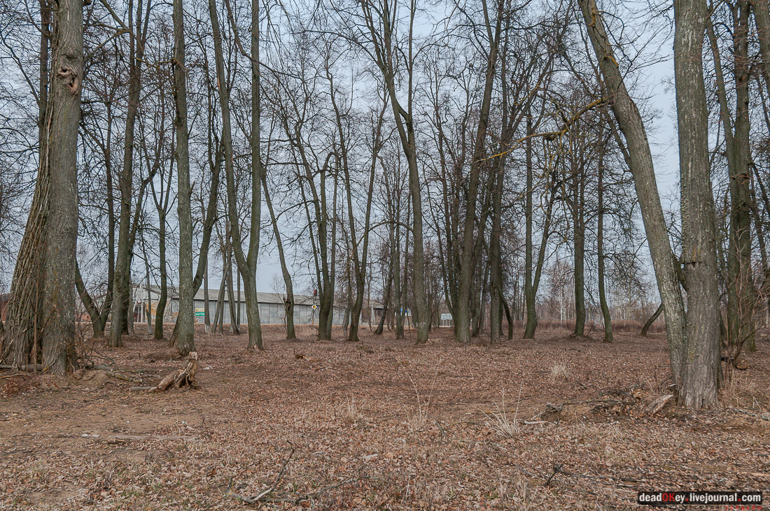 Усадьба Белая Колпь