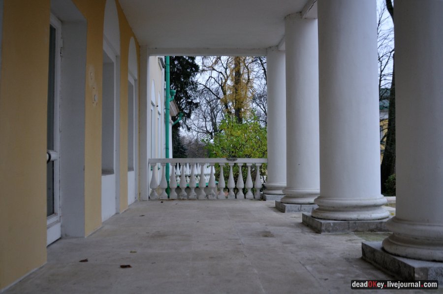 усадьба Горки Ленинские