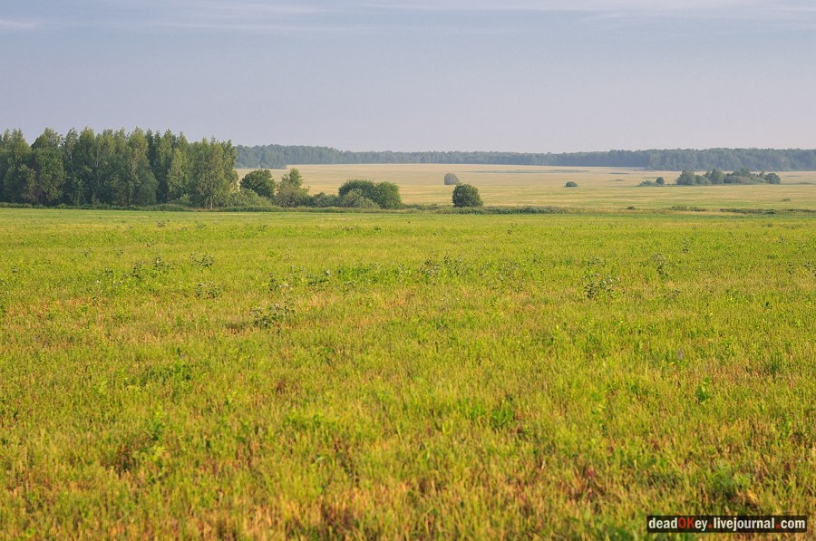 усадьба Клины