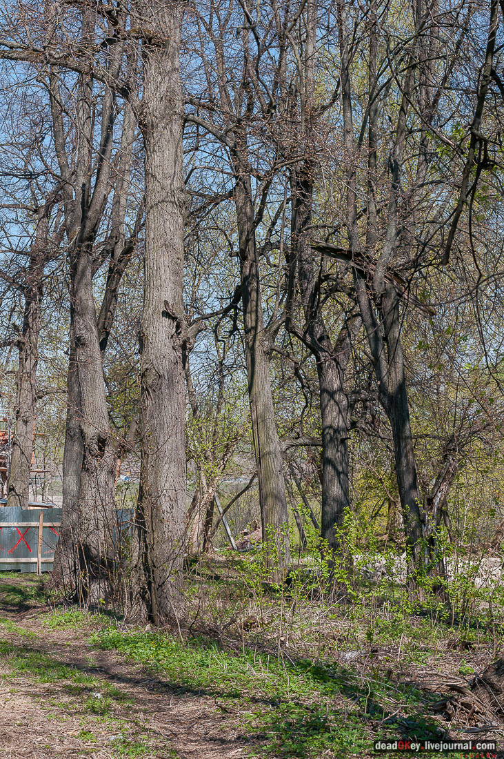 усадьба Тарасково, Каширский район, реставрация, ASG