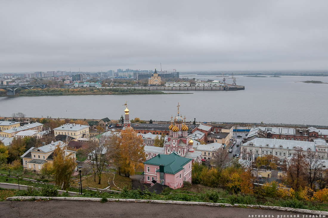 Положительные новости недели 11