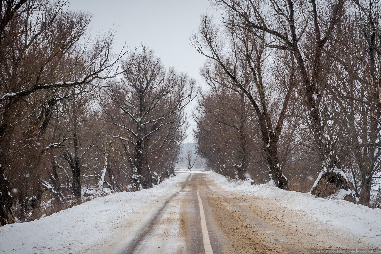 Усадебный экспресс. Гусарская баллада, экскурсия 2018
