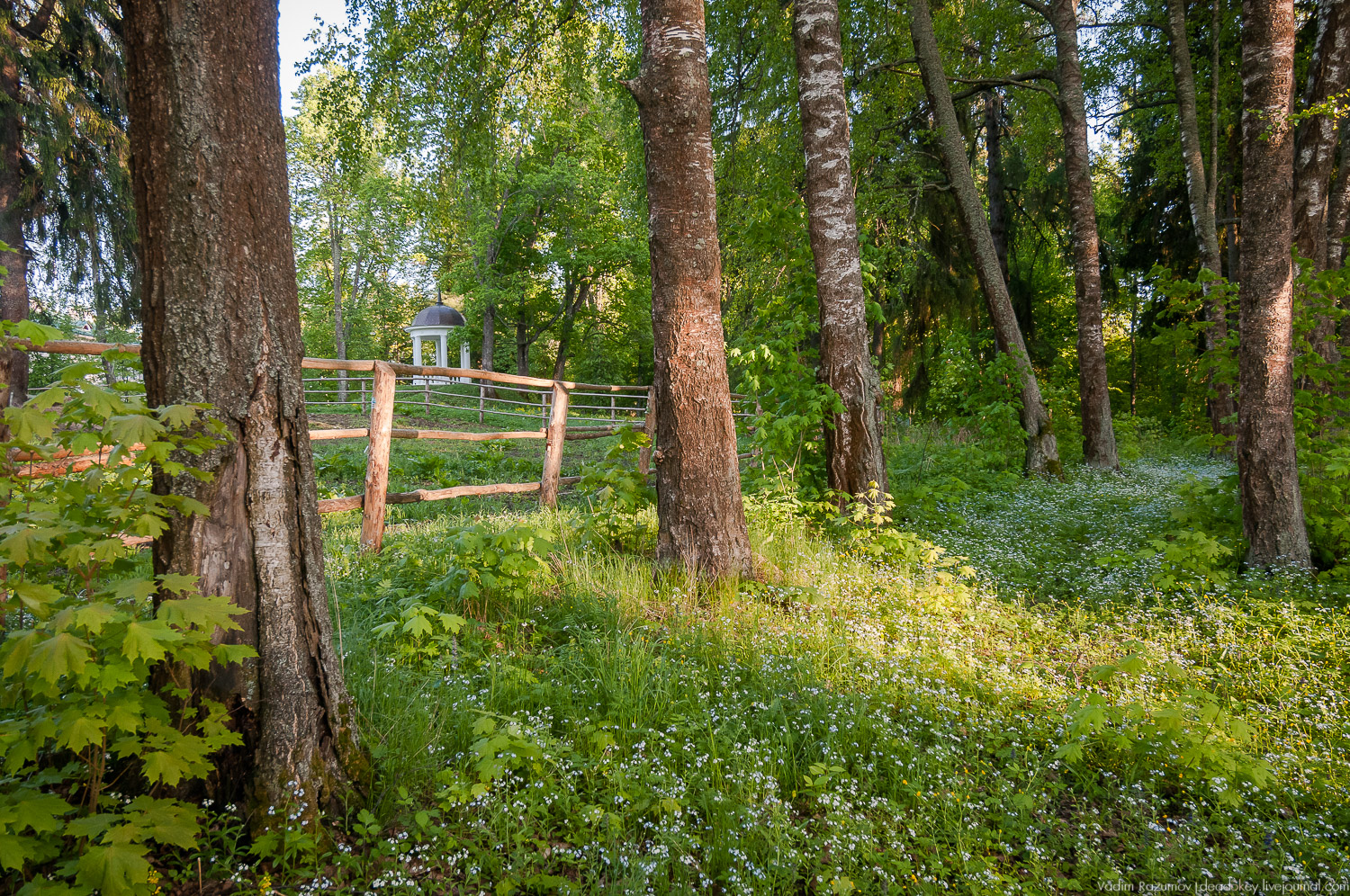 усадьба Воронино