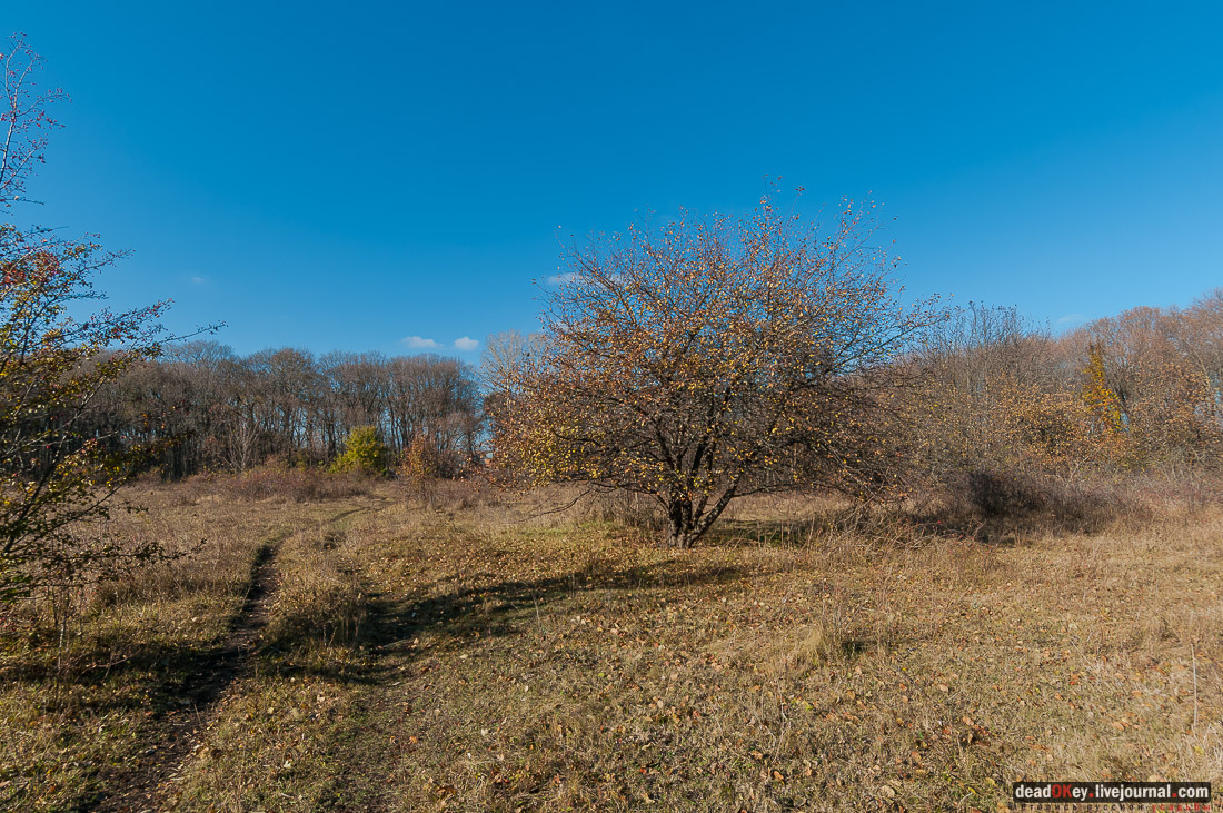 усадьба Полибино