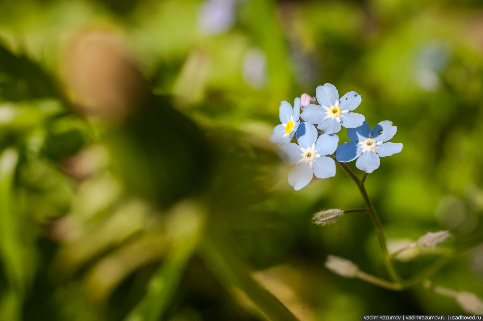 усадьба Дворяниново, Андрей Тимофеевич Болотов, Тульская область
