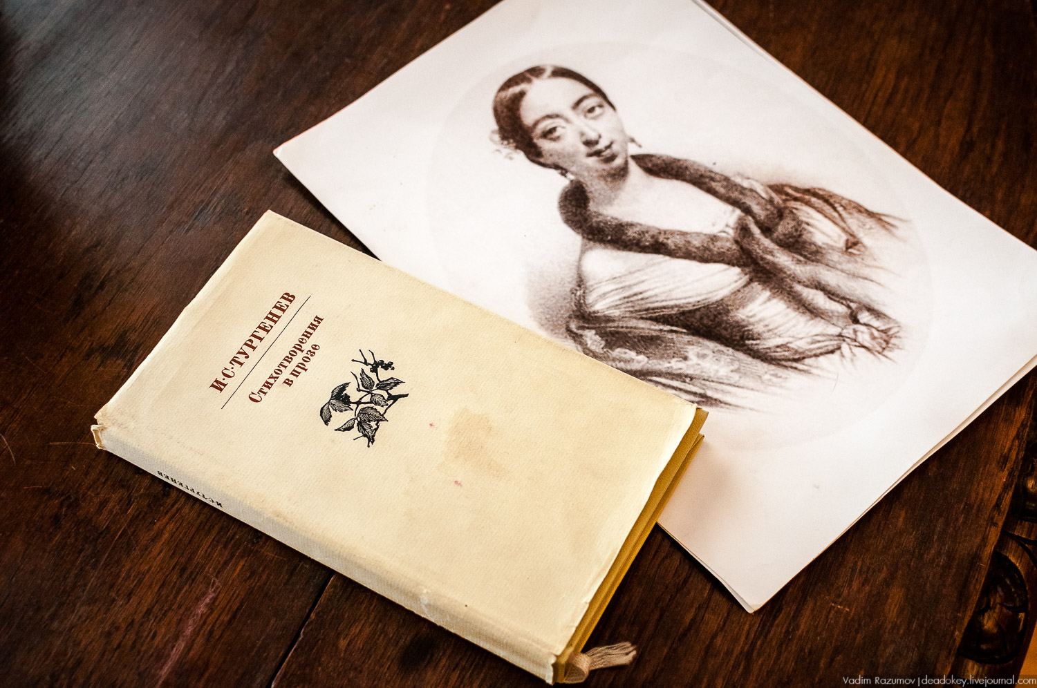 Тургеневские места, юбилей Тургеневу, открытие памятника, музею, Остоженка, 200 лет писателю