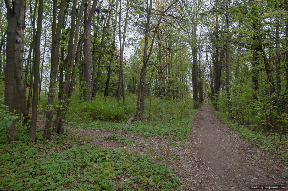усадьба Дугино в Мещерино (пожар, сгорела)