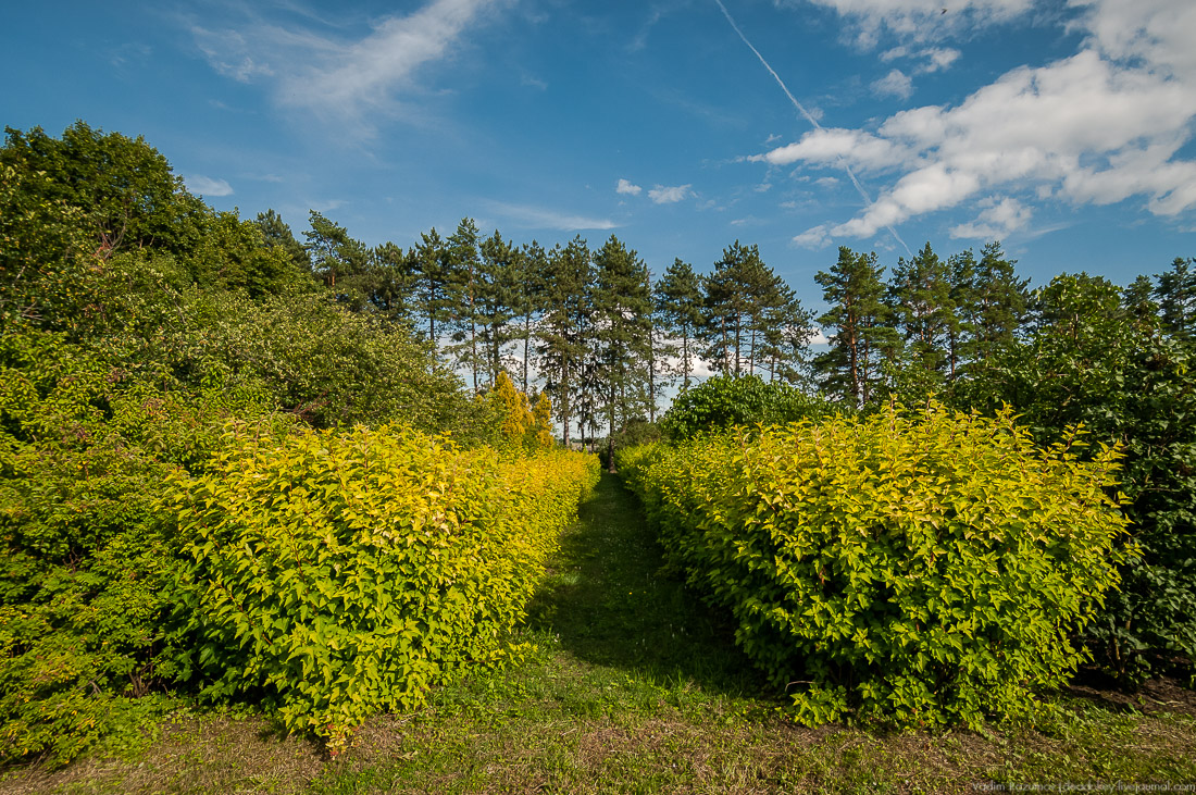 усадьба Барсуково