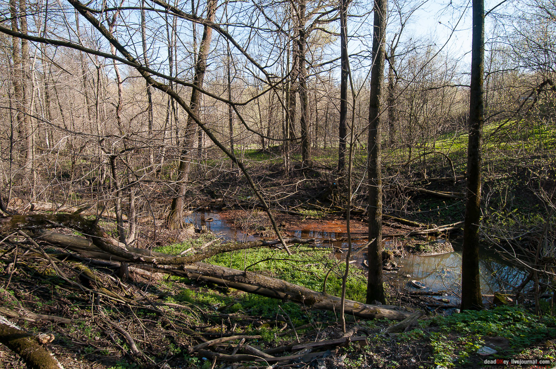 усадьба Чижово, Балашихинский район