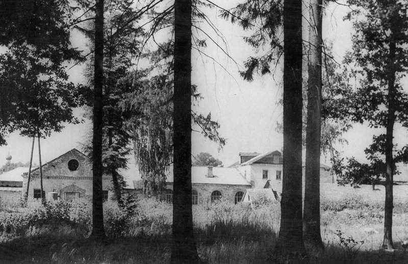 усадьба Гребнево старые фотографии.