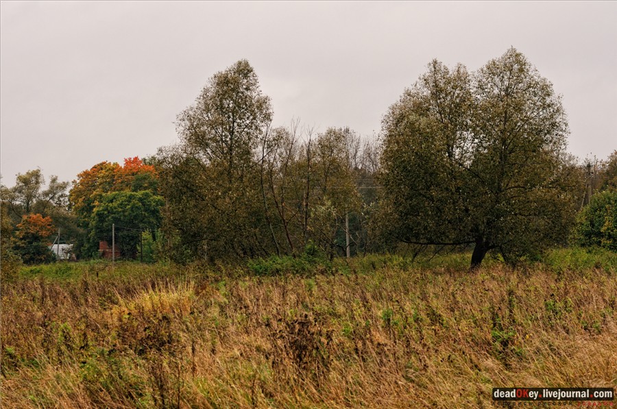 усадьба Ляхово