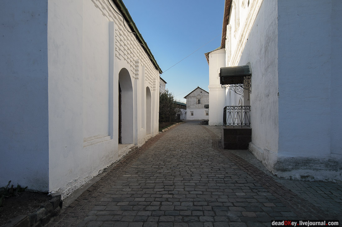 Новоспасский монастырь