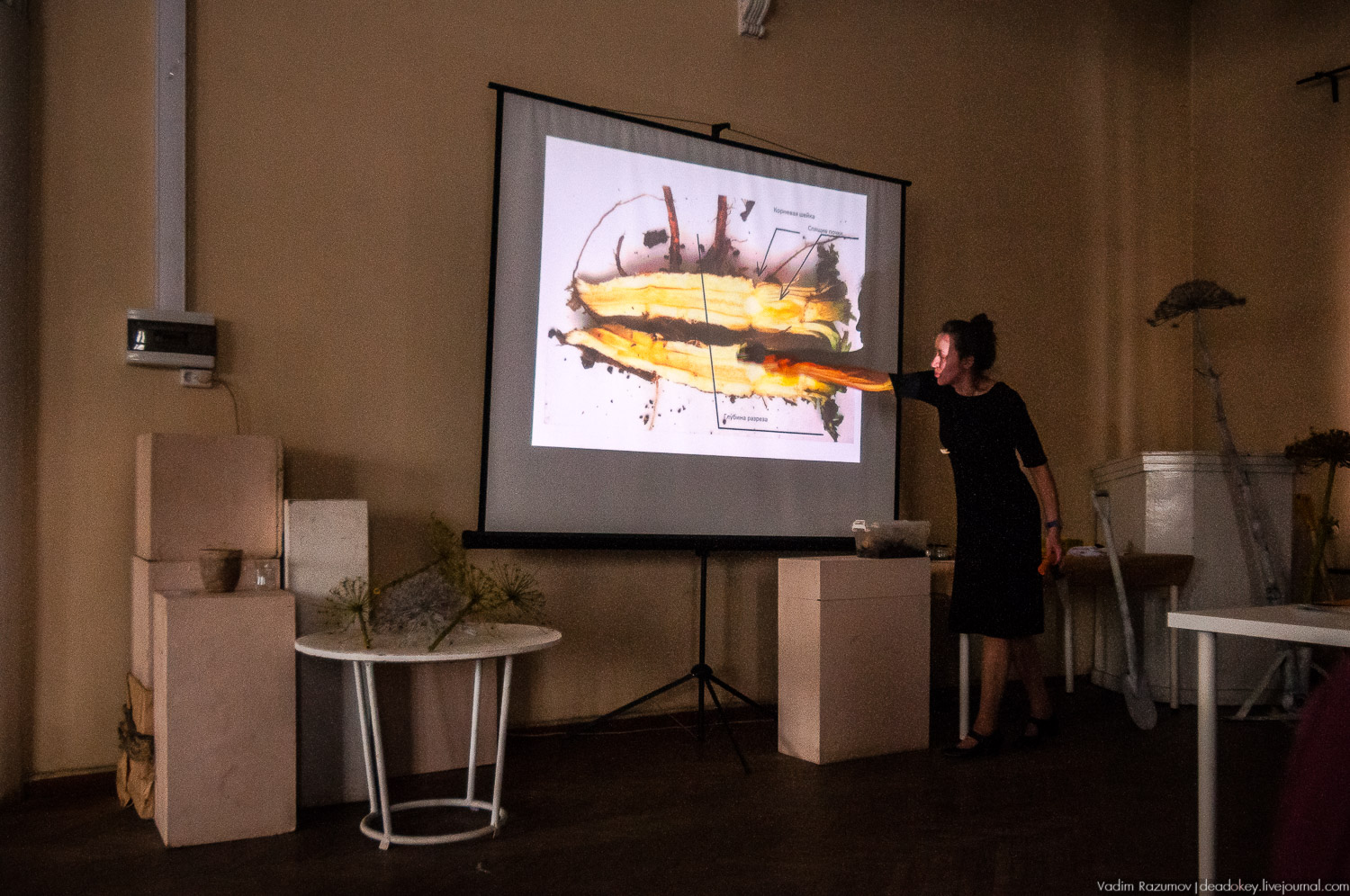 Ботанический сад, фондовая оранжерея, Экоэлектричка, борщевик