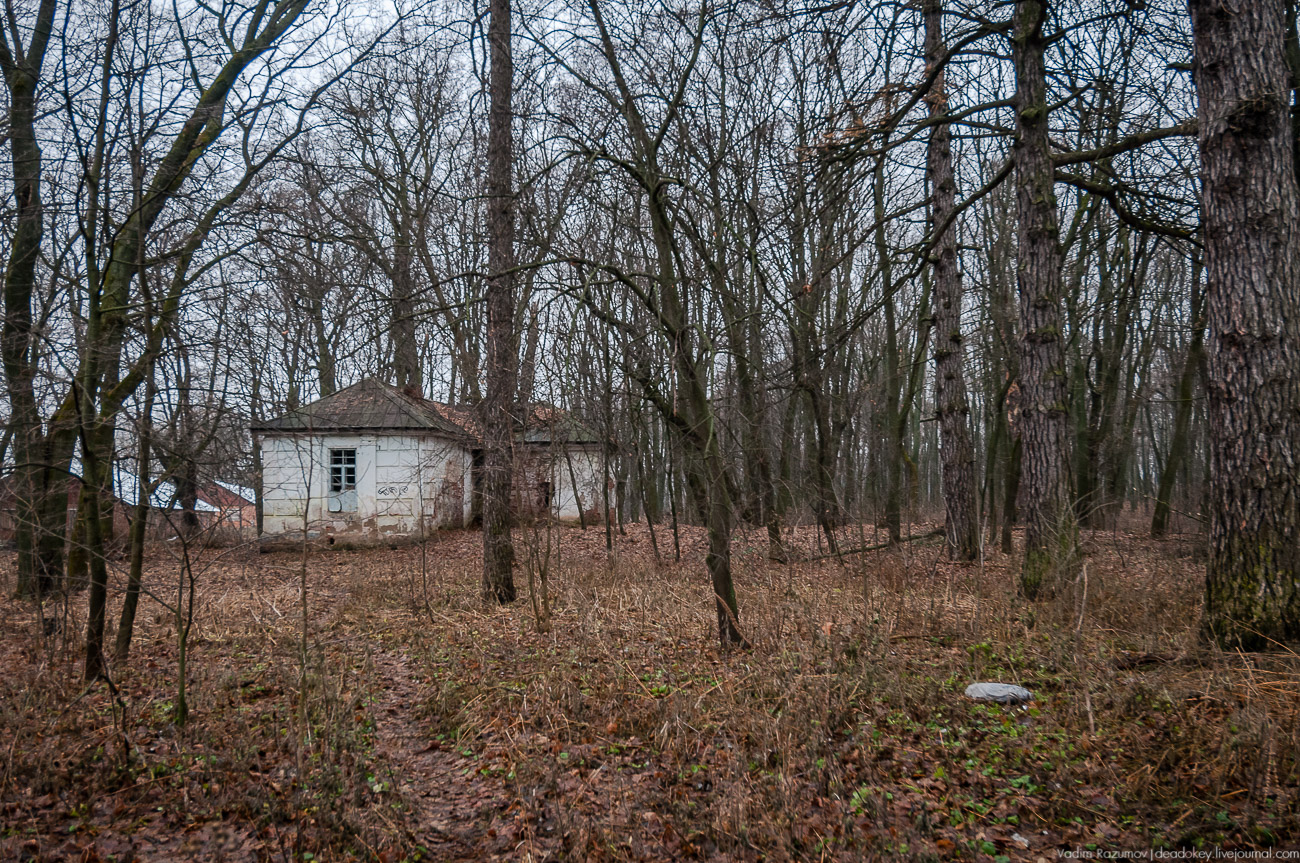 Летопись русской усадьбы. Усадьбы 2017 года
