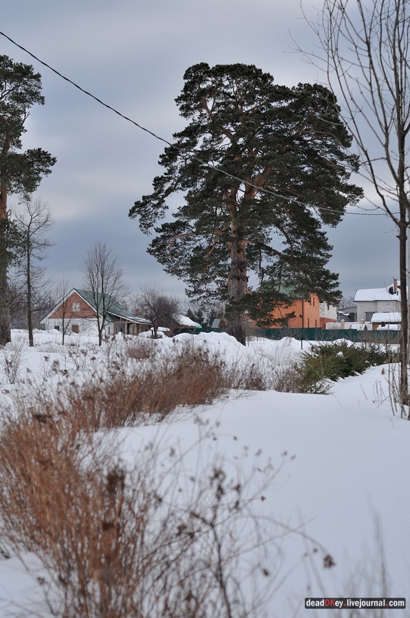 усадьба Милюково