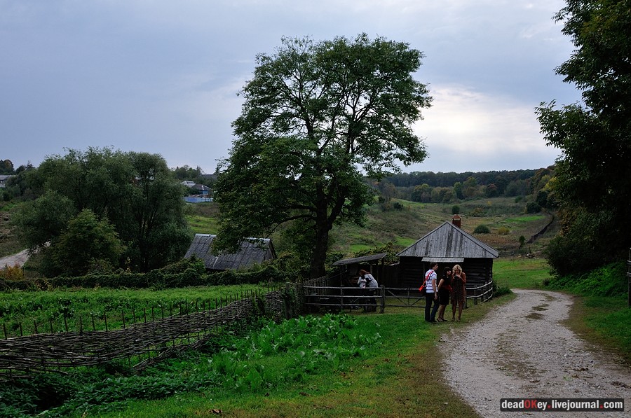 усадьба Ясная Поляна
