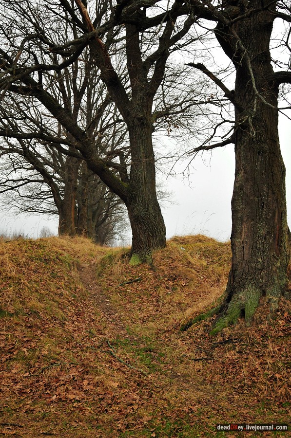 усадьба Савинское