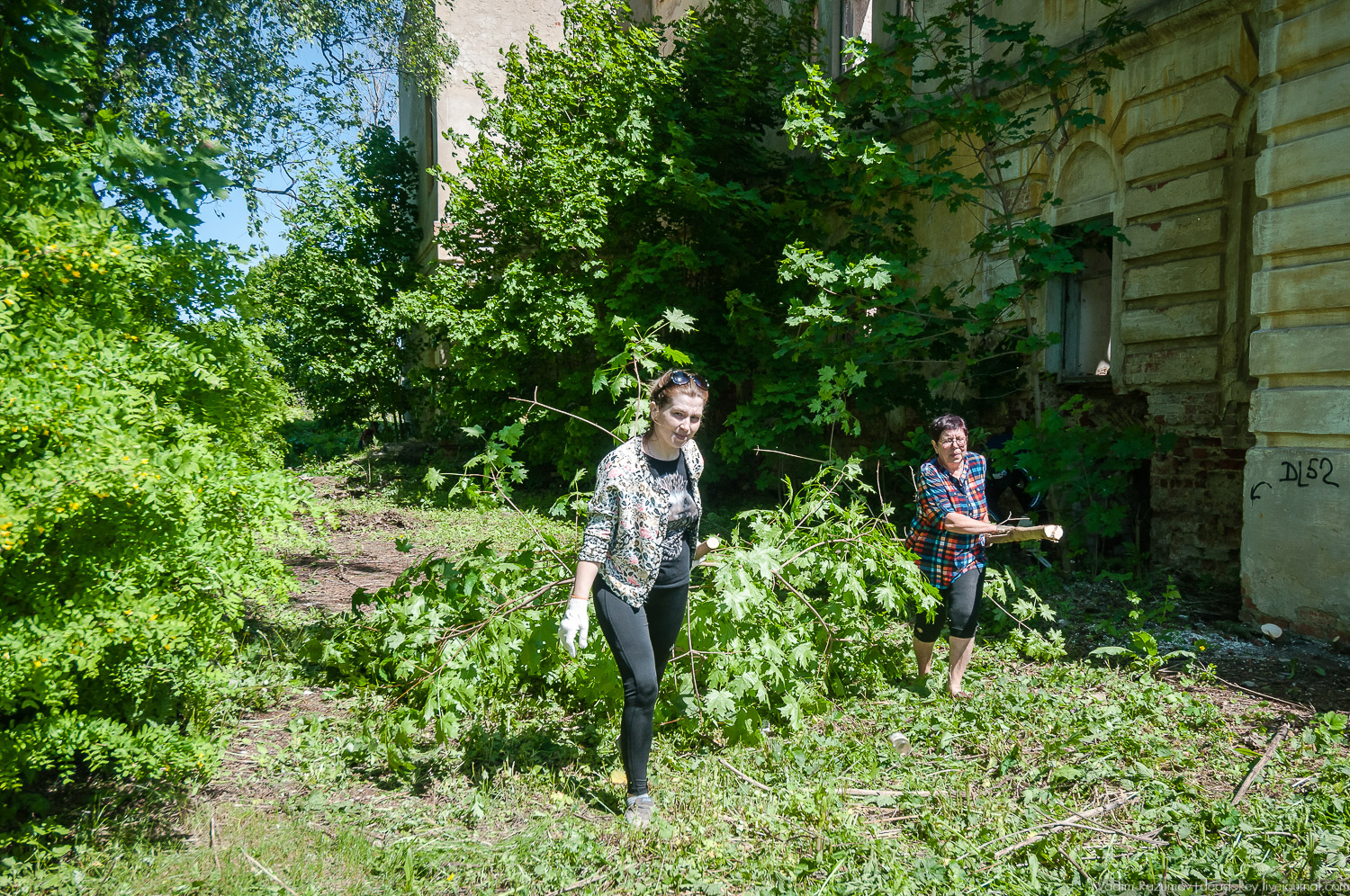 усадьба Сергиевское-на-Упе, Усадебные волонтеры в Тульской области