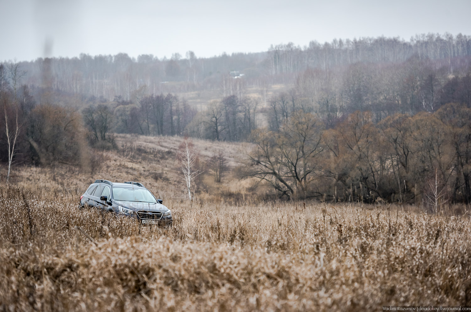 Старое Глазово, Тульская область, каширский уезд, могила архитектора В.И. Баженова