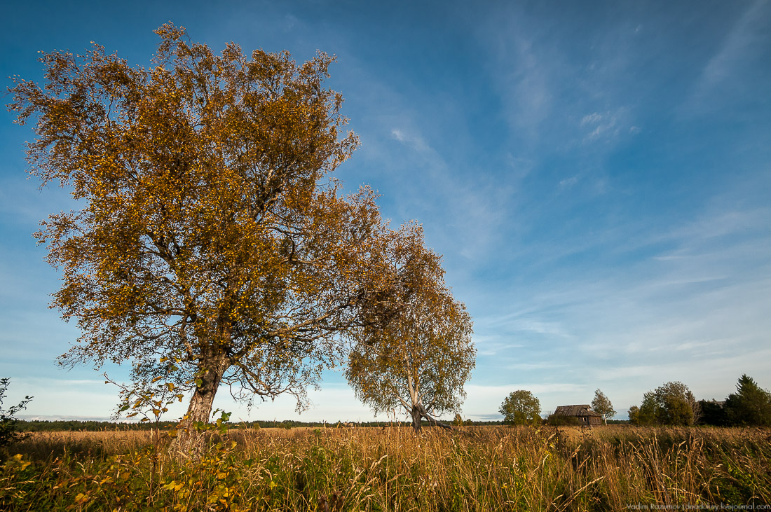 дер. Кучепалда, Архангельская обл.