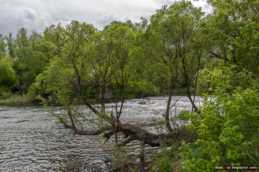 усадьба Коленцы