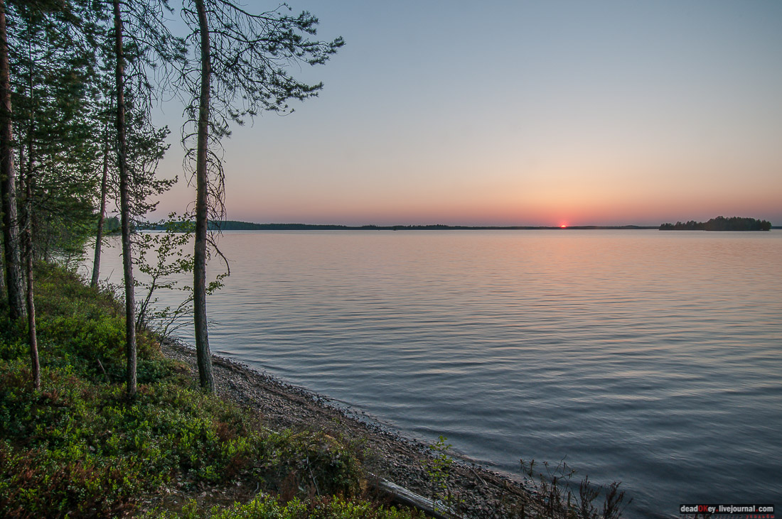 Россия, Карелия, Кондопожский район, Вендеры, Сяпчозеро, Спасская Губа