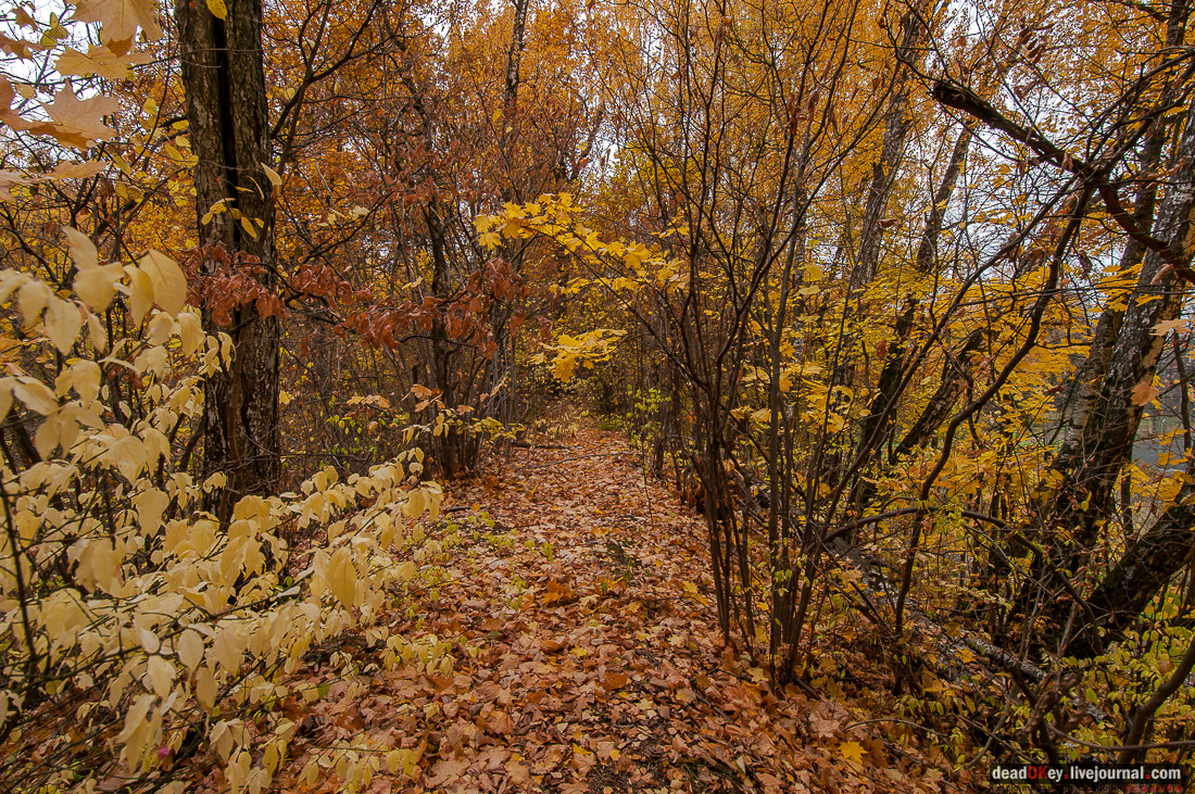 усадьба булочника Филиппова (пос. Спортбаза), Подольский район, Перемышль Московский