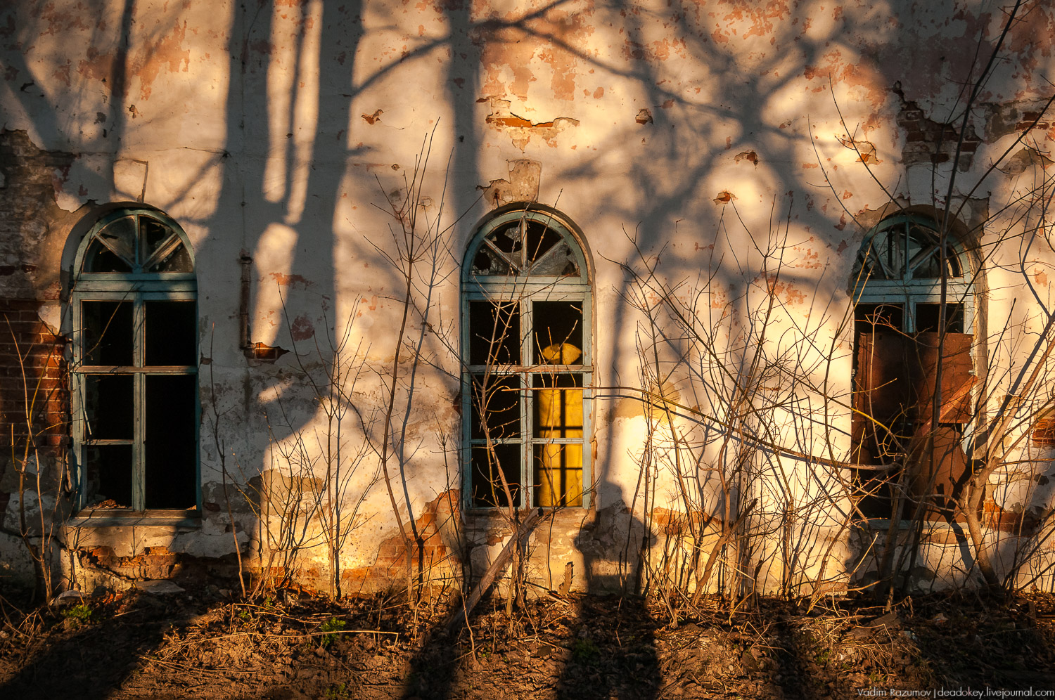 Сахарный завод Бобринских в Богородицке, Тульская область