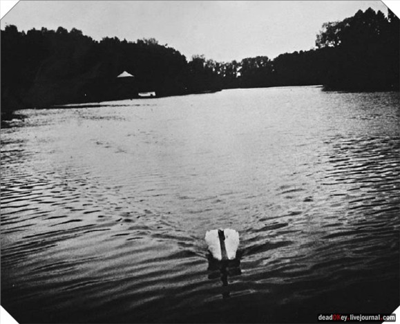 усадьба Грачевка (Ховрино)