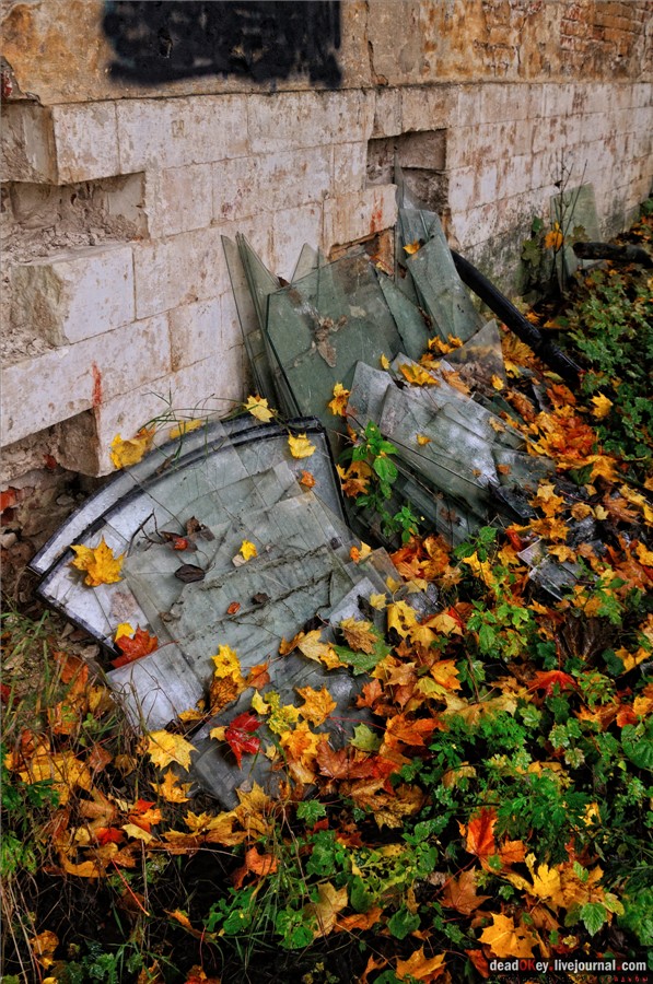 усадьба Ляхово