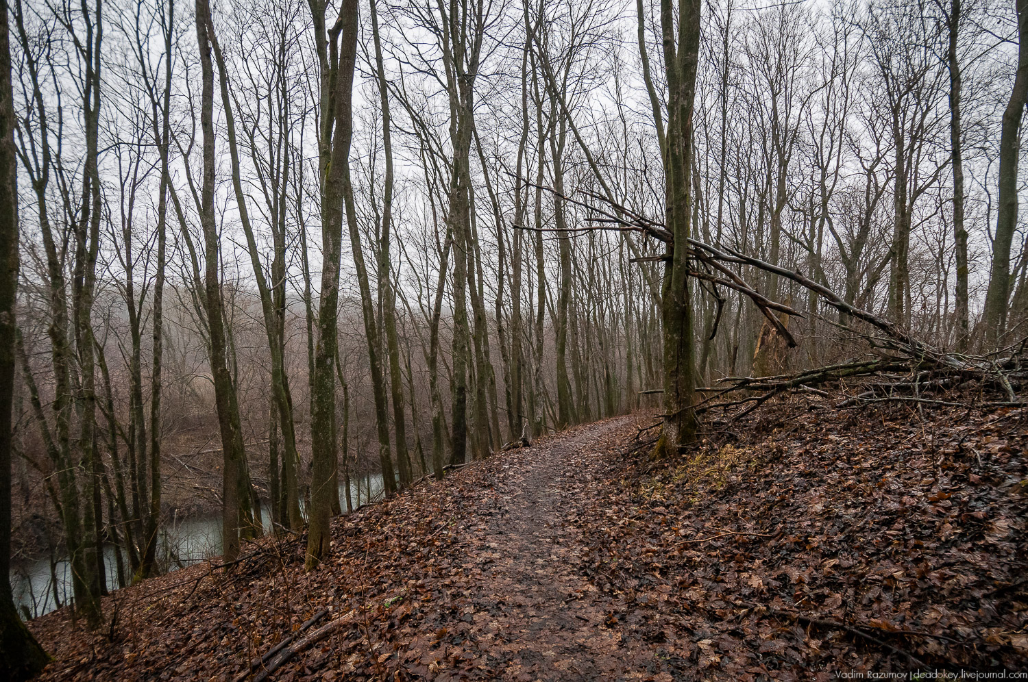 усадьба Пальна-Михайловка, аудиогид по усадбе, фото Вадим Разумов