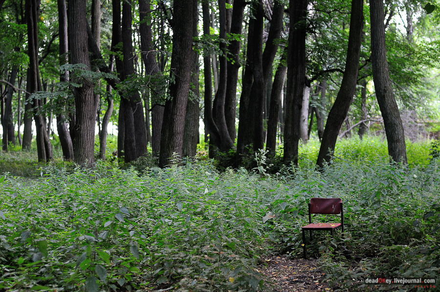 усадьба Матыра