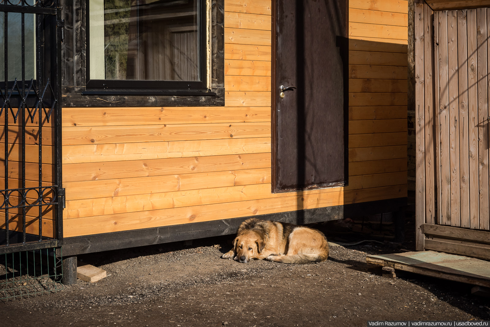 усадьба Гребнево, 2020 год, Андрей Ковалев, реставрация усадьбы