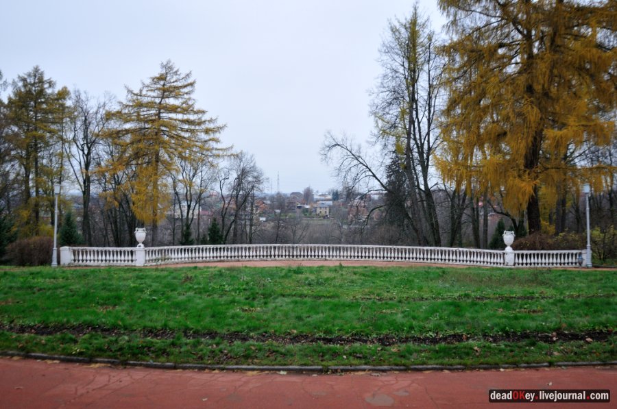 усадьба Горки Ленинские