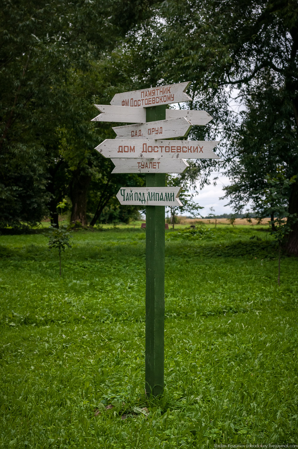 усадьба Даровое, Зарайский район, Ф.М. Достоевский