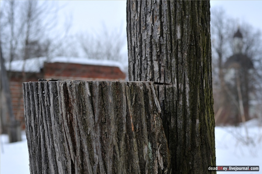 усадьба Ельдигино