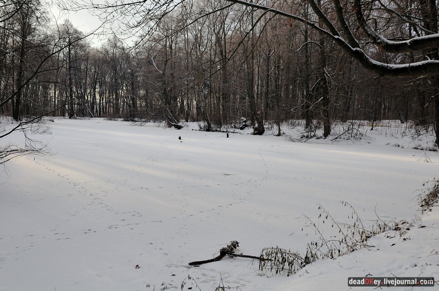 усадьба Быково