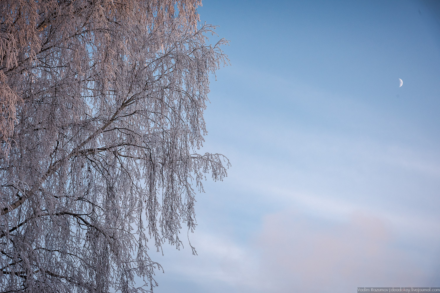 Больничный комплекс, казарма и театр в Орехово-Зуево