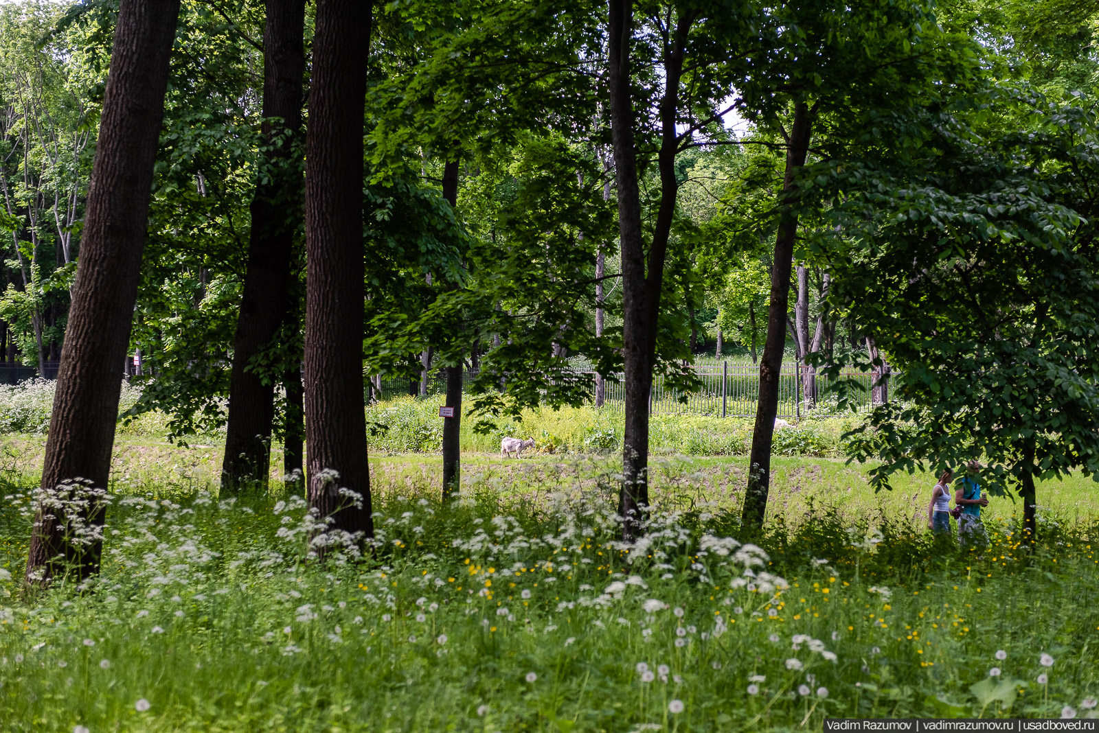 Богородицк, Тульская область