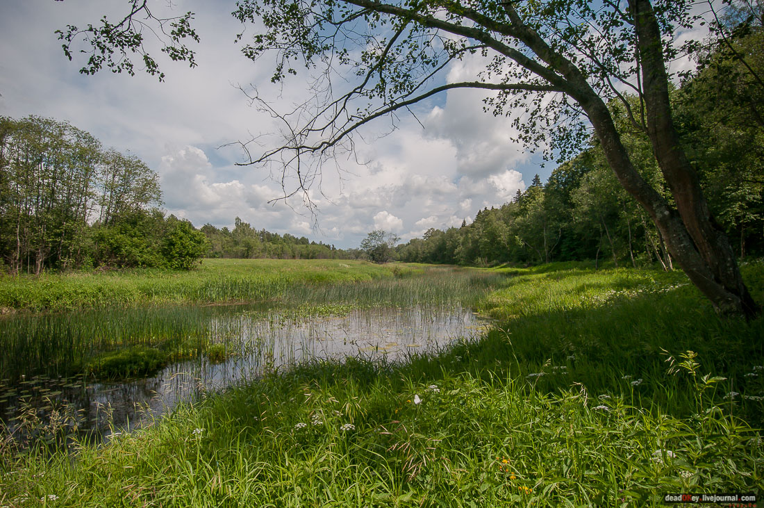 усадьба Знаменское-Раек, Тверская область, Новоторжский район