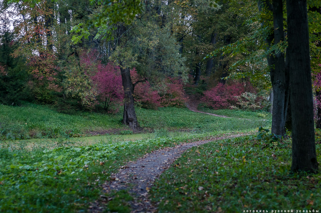 усадьба Ясная Поляна
