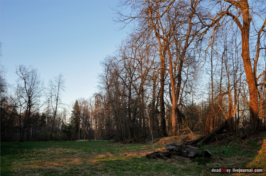 усадьба Смольнево