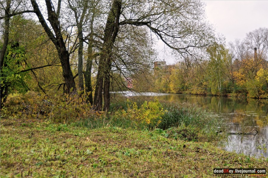 усадьба Сима