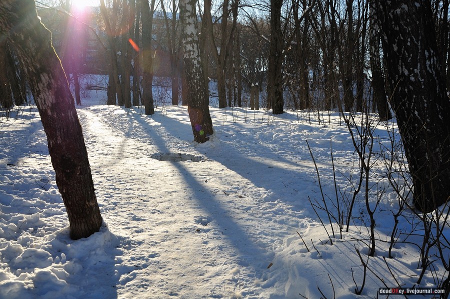 усадьба Петровское-Лобаново